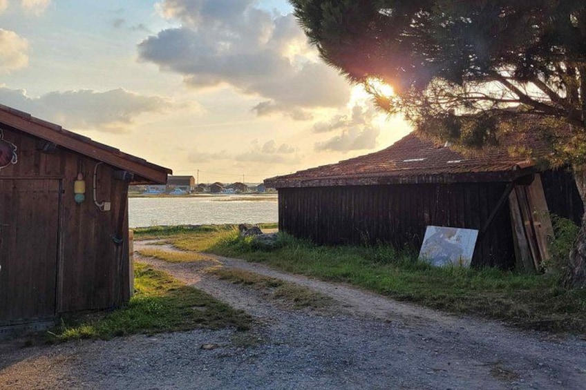 Un sendero de grava que conduce a estructuras de madera junto a un cuerpo de agua, con un atardecer de fondo. 3