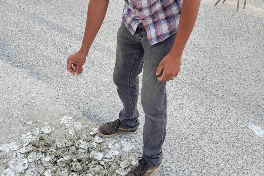 A person standing on a concrete surface with a pile of seashells. 2
