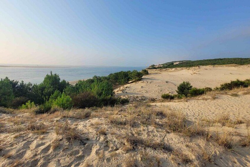 A coastal landscape with sand dunes, sparse vegetation, and a clear view of the sea. 5