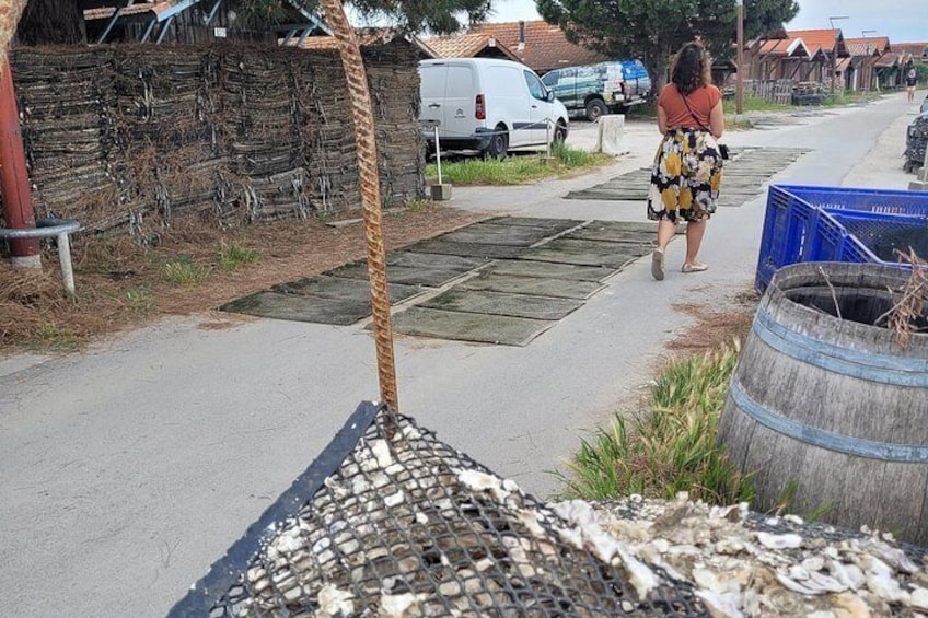 A residential street with a woman walking, a wooden fence, a white van, and a blue barrel. 3