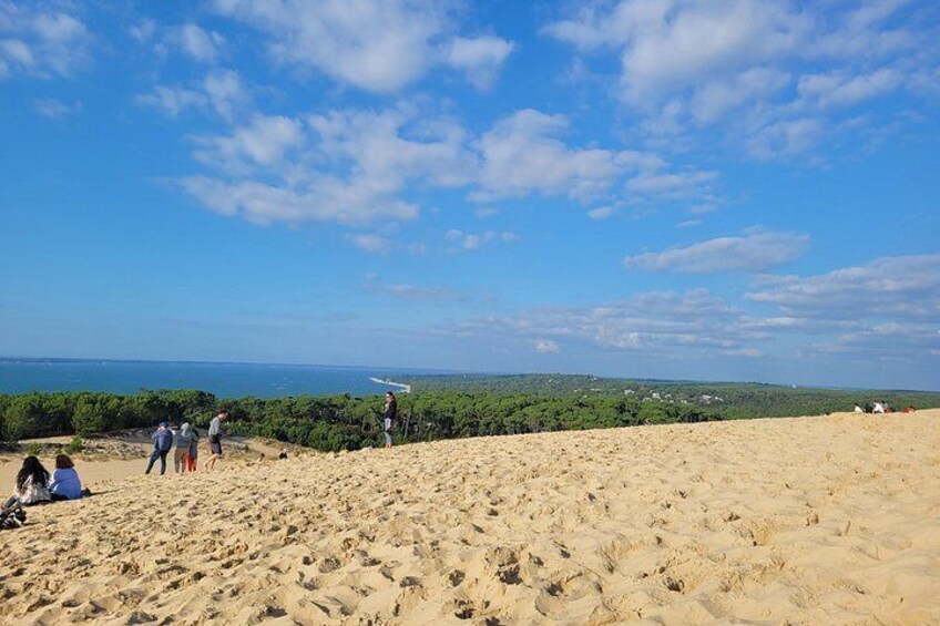 A sandy beach with people, a clear sky, and distant greenery. 4
