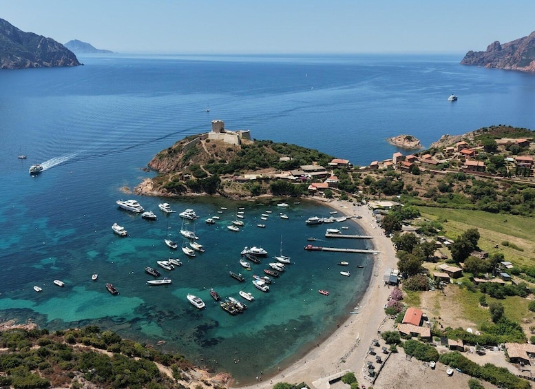 Picture 3 for Activity Calvi: Guided motorboat visit to Scandola and Girolata, 6 hours or 4.5 hours 2