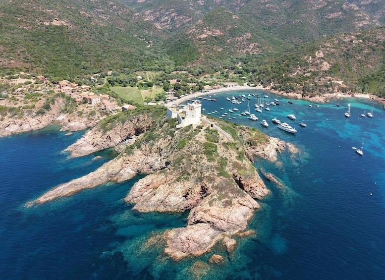 Picture 5 for Activity Calvi: Guided motorboat visit to Scandola and Girolata, 6 hours or 4.5 hours 3