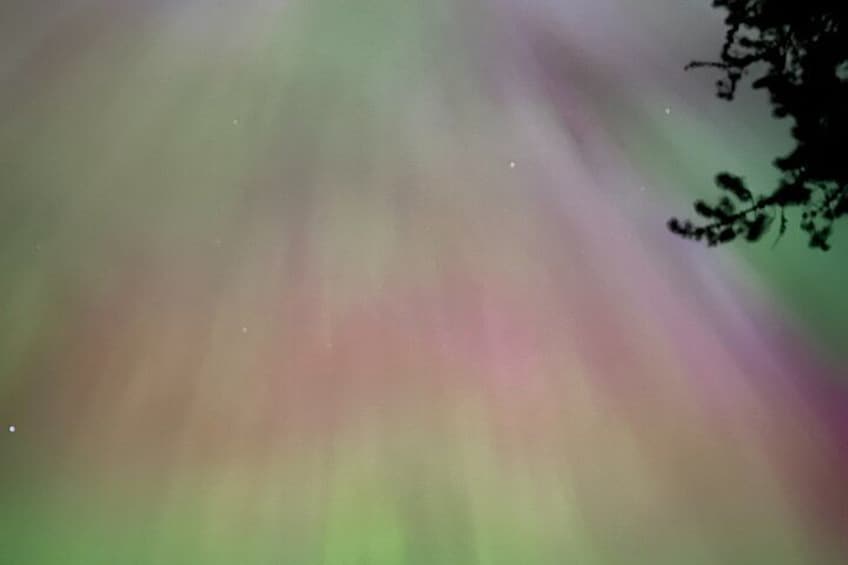 Een kleurrijke poollichtshow met de silhouet van een tak. 4