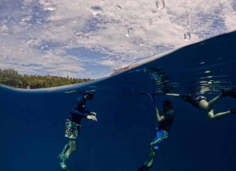 Two people swimming underwater with a view of a beach and trees above the water. 3
