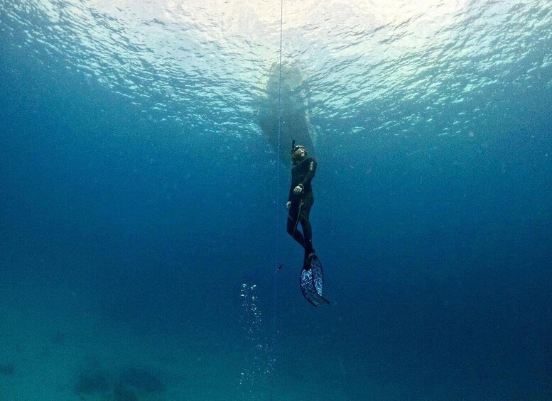 A diver underwater with a snorkel and fins. 1