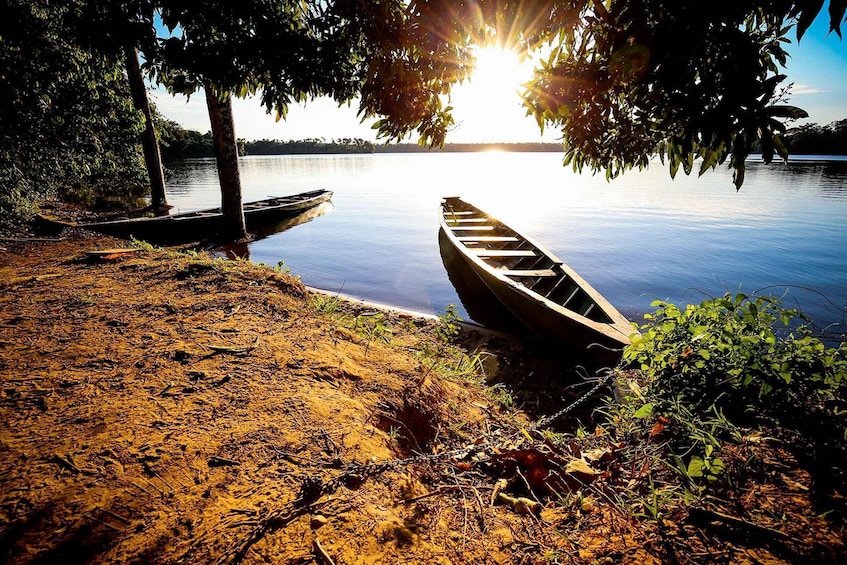 A calm lake with two boats on the shore, surrounded by trees and vegetation. 5