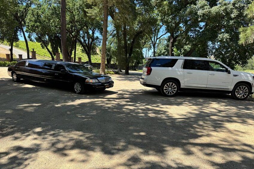 Private Limo Wine Tours in Sonoma and Napa Valley 2