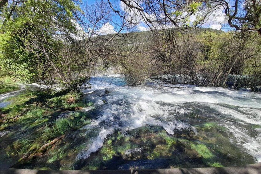 A river flowing through a forested area with trees and rocky terrain. 2