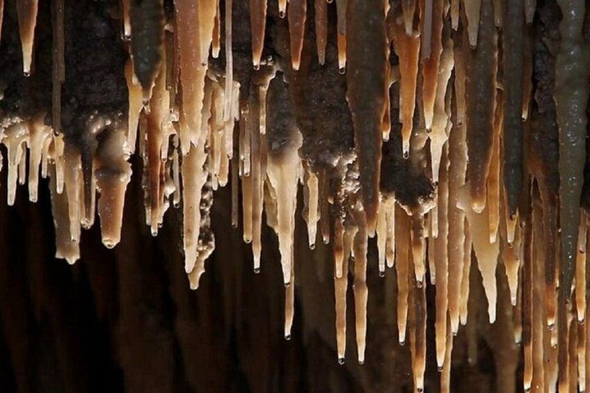 Wombeyan Caves: Mulwaree Cave tour 2