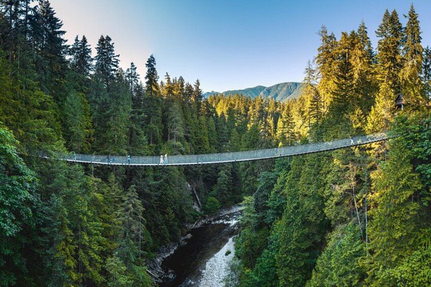 Un puente colgante sobre un río rodeado de bosque denso. 1