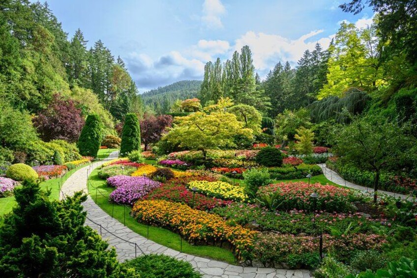 A landscaped garden with a variety of colorful flowers, a winding path, and dense green trees. 5