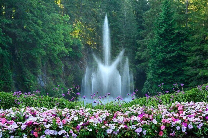 Victoria and Butchart Gardens, an Elevated Experience 2
