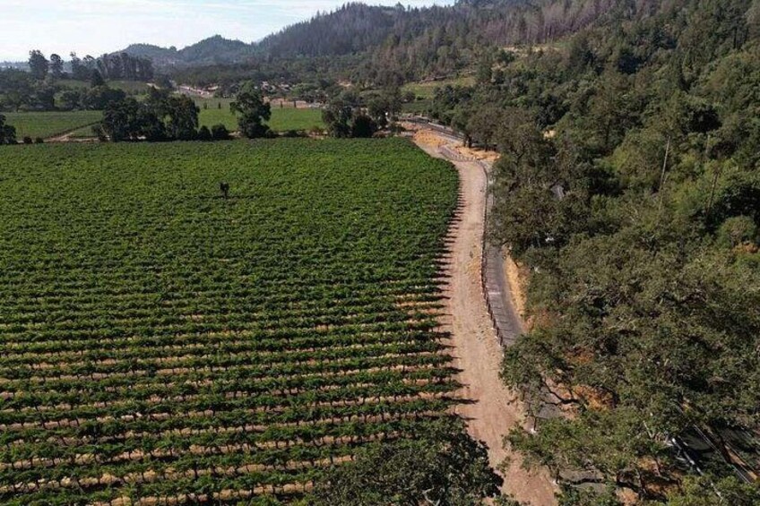 Scenic Napa Valley E-Bike Tour (no wineries) 1