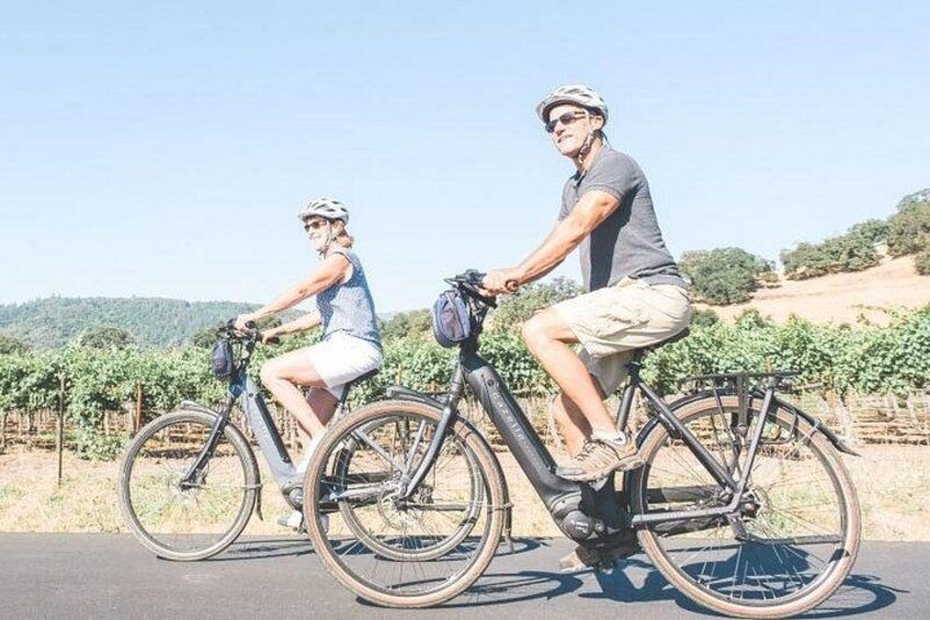 Scenic Napa Valley E-Bike Tour (no wineries) 2