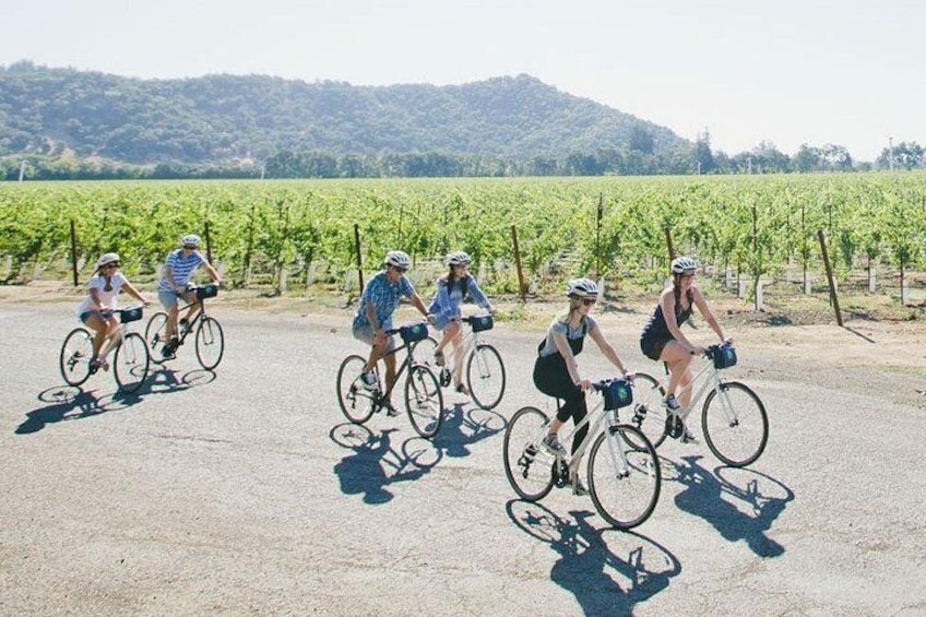 Scenic Napa Valley E-Bike Tour (no wineries) 2