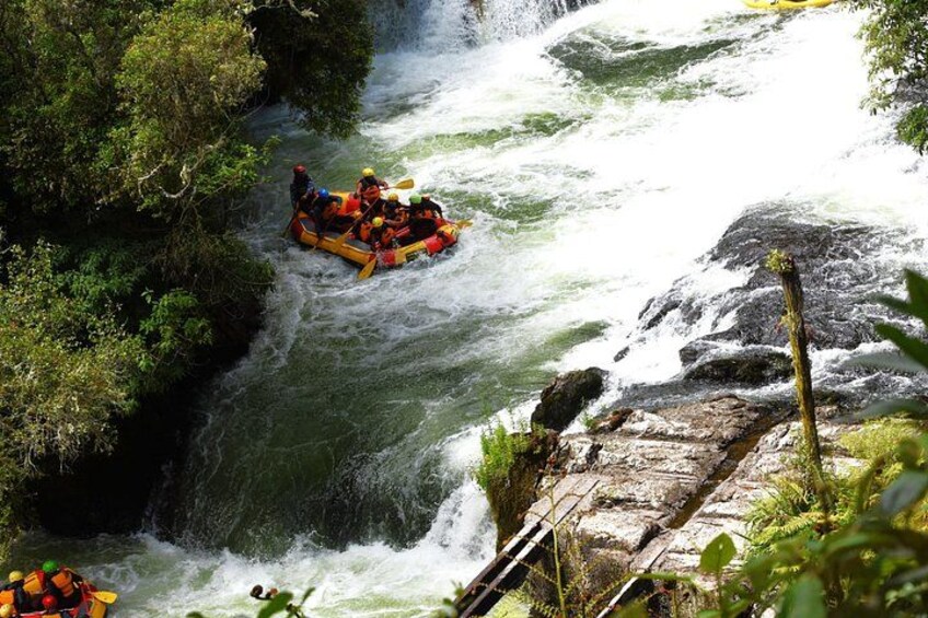 A white water rafting team navigating a river with rapids, surrounded by lush greenery. 2