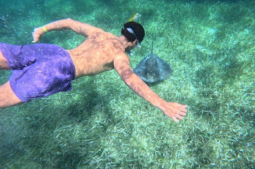 Enjoying Stingray City 1
