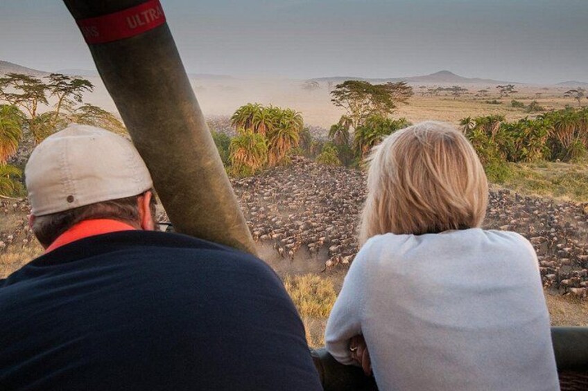 Eine Person mit weißer Kappe und eine Frau mit weißem Oberteil beobachten eine Tierherde, die auf einer Savannenlandschaft mit Bäumen und fernen Hügeln weidet. 5