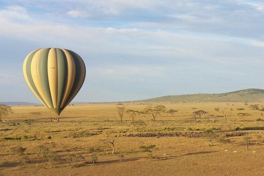 Eine Heißluftballon über einer weiten, offenen Landschaft mit vereinzelter Vegetation und sanften Hügeln in der Ferne. 1