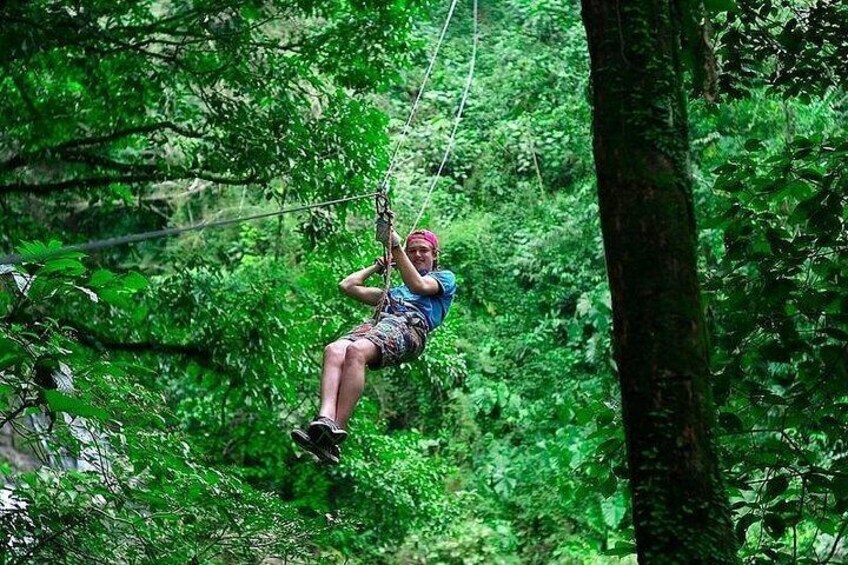 A person zip-lining through a dense forest. 5