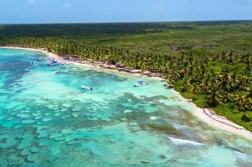 A tropical beach with clear turquoise waters, palm trees, and boats. 2