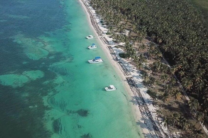 A beach with clear turquoise water, several boats anchored near the shore, and a dense line of palm trees. 4