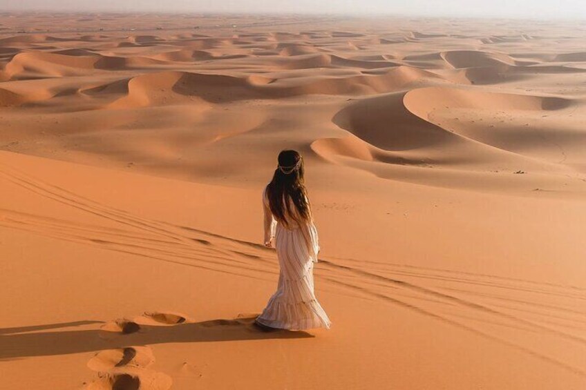Jeddah Quads and Adventures with Desert Camp 