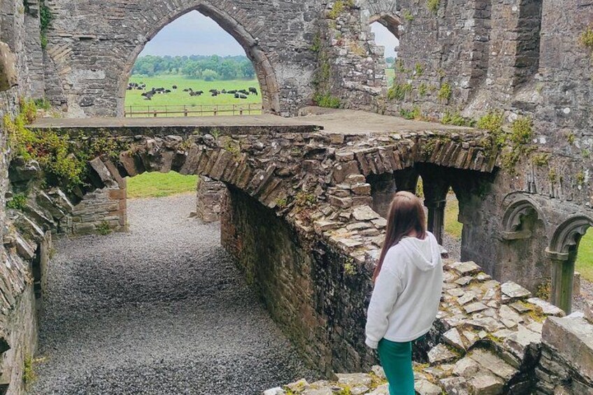 Bective Abbey 4