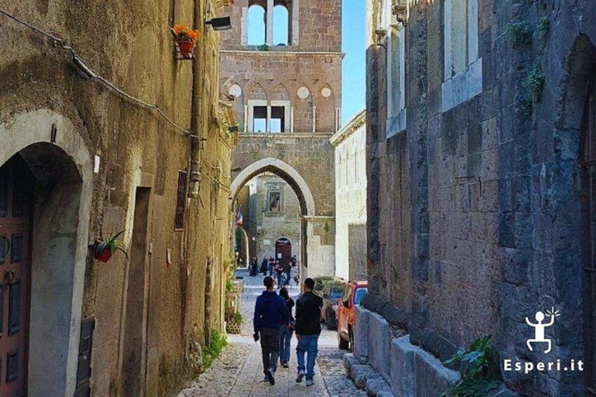 A plunge into the Middle Ages by cycling among the arches and towers of the village. 4