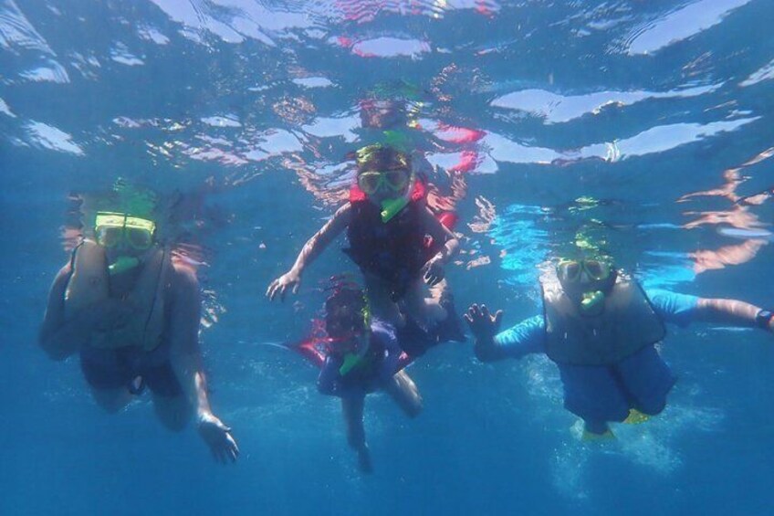 Ultimate Beginner Snorkeling Tour 3
