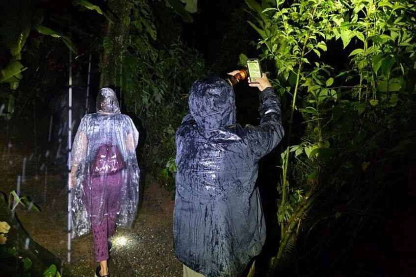 Dos personas con equipo impermeable caminando por un área boscosa con una cascada al fondo. 2