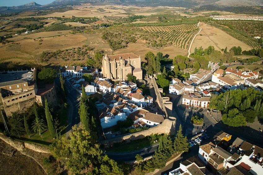 A historic town with a prominent castle, vineyards, and a mix of traditional and modern architecture. 4