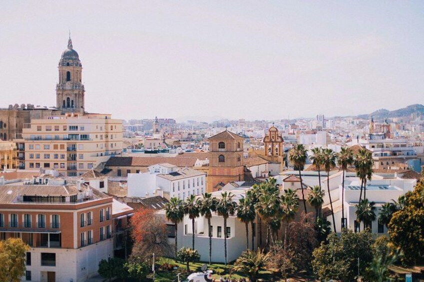 Málaga and Marbella 10 Hour Tour from Malaga with Free Photoshoot 3