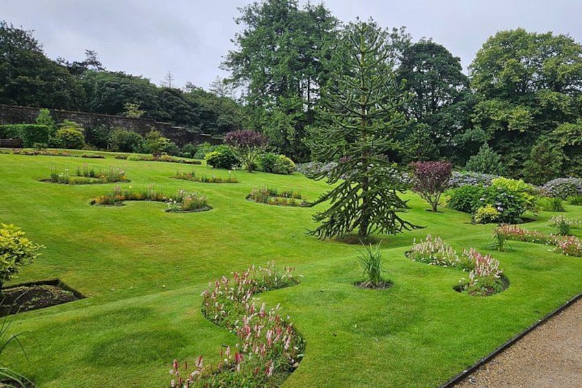 A well-manicured garden with various shrubs and a prominent coniferous tree. 5