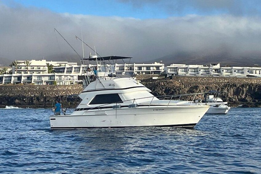 Macaronesia Charter Fishing in Lanzarote (Canary Islands) 1