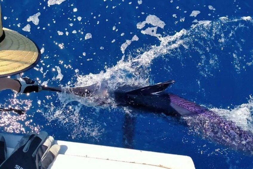 Macaronesia Charter Fishing in Lanzarote (Canary Islands) 4