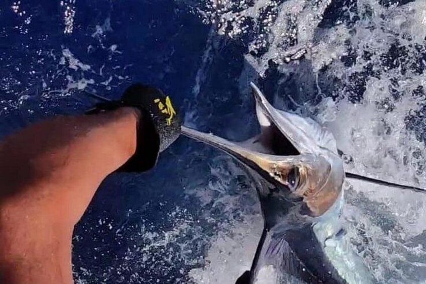 Macaronesia Charter Fishing in Lanzarote (Canary Islands) 5
