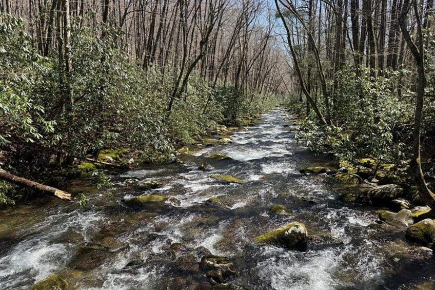 River flowing through the Great Smoky Mountains National Park 2