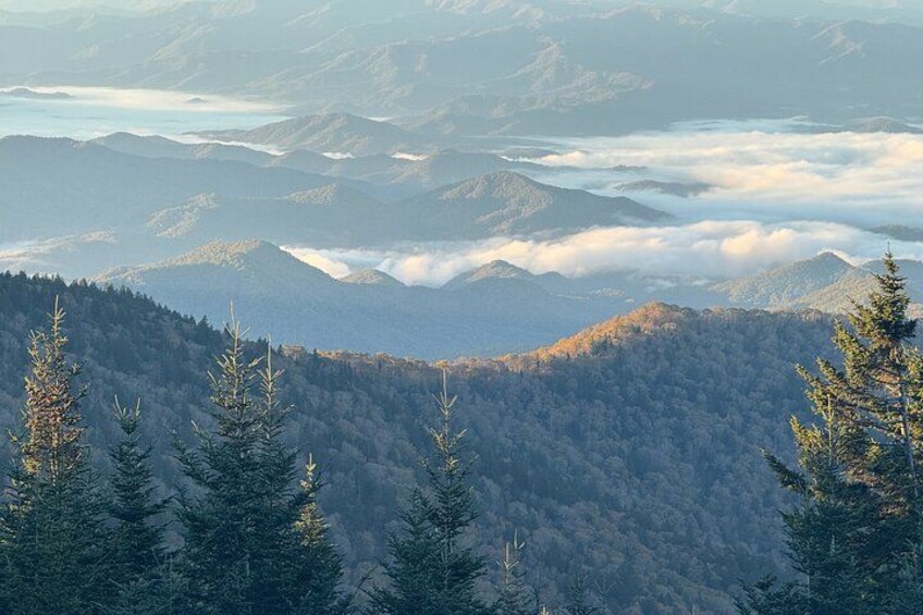 A mountainous landscape with dense forests and a view of distant mountains. 1