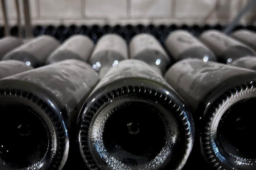 Bottles in storage for 12 months 4