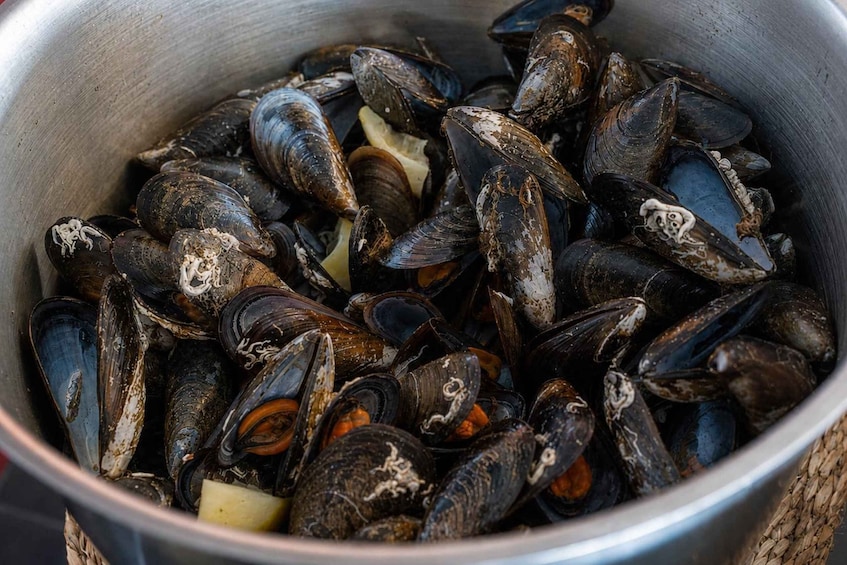Picture 6 for Activity Catamaran cruise and visit to the mussel farms with an appetizer 3