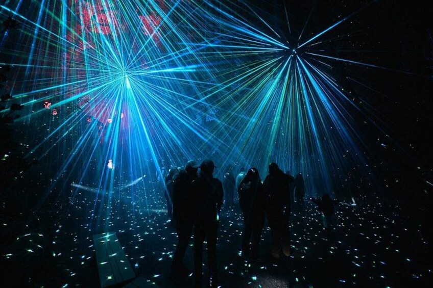 Astra Lumina Night Walk at Currumbin Wildlife Sanctuary 2