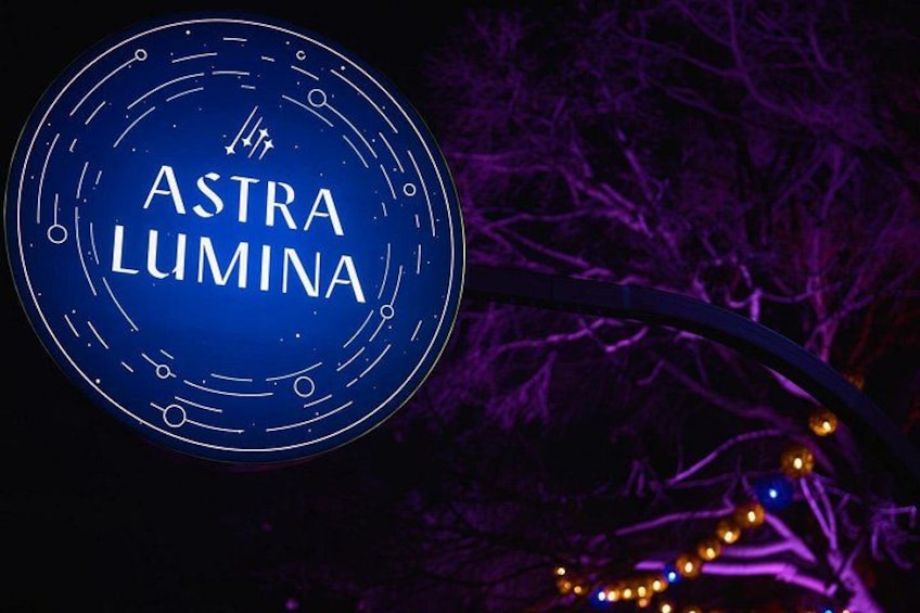 Astra Lumina Night Walk at Currumbin Wildlife Sanctuary 2