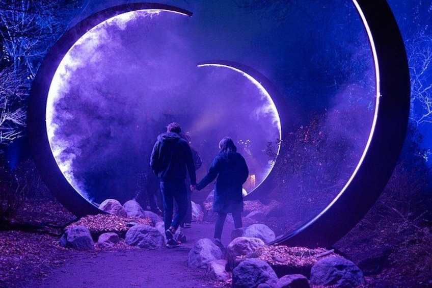 Astra Lumina Night Walk at Currumbin Wildlife Sanctuary 3