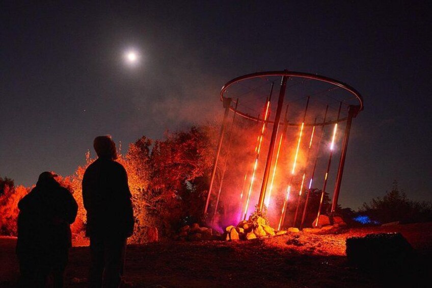 Astra Lumina Night Walk at Currumbin Wildlife Sanctuary 4