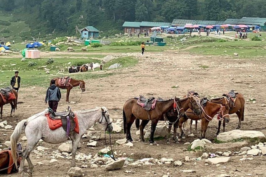 Un grupo de caballos con jinetes en una zona rocosa y abierta, con rocas dispersas y algunos edificios al fondo. 5