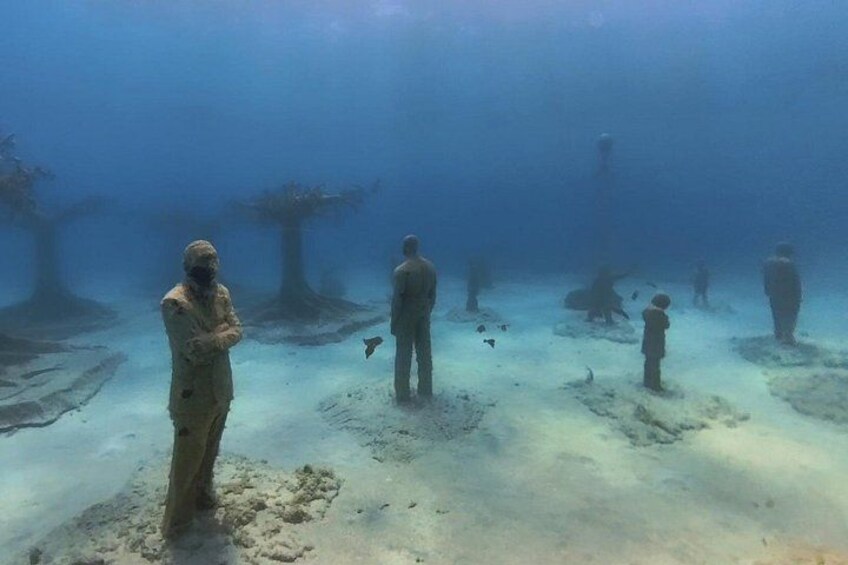 Scuba Diving Experience & MUSAN Dive + Free Edited Video 2xdives 4