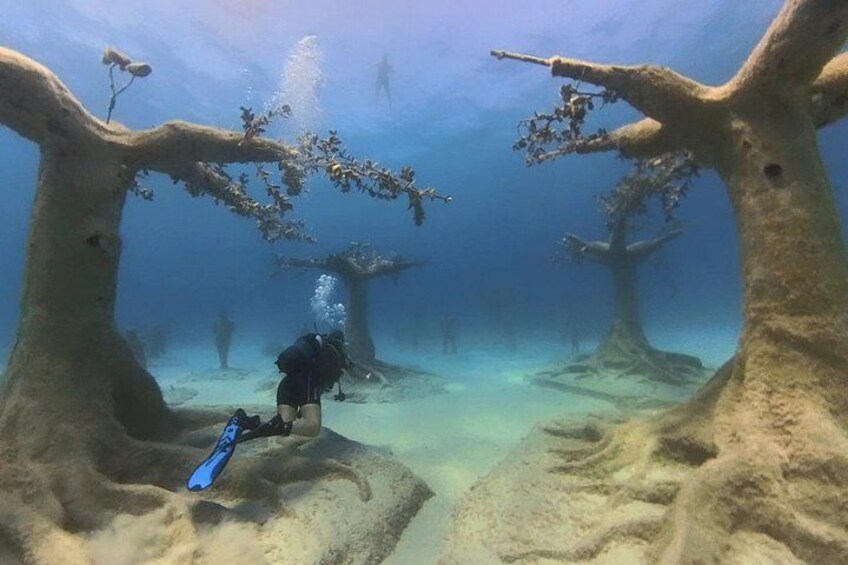 Scuba Diving Experience & MUSAN Dive + Free Edited Video 2xdives 1