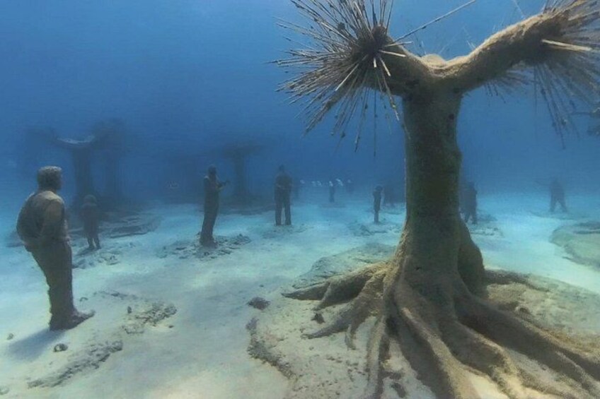 Scuba Diving Experience & MUSAN Dive + Free Edited Video 2xdives 5